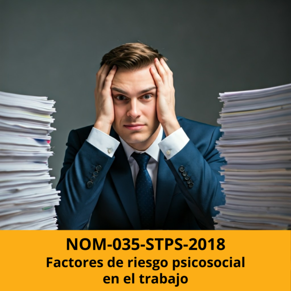 Curso nom 035 stps 2018 factores psicosociales en el trabajo